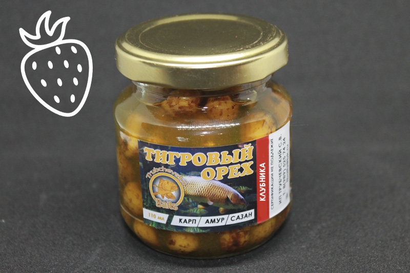 �������� ����  ��������