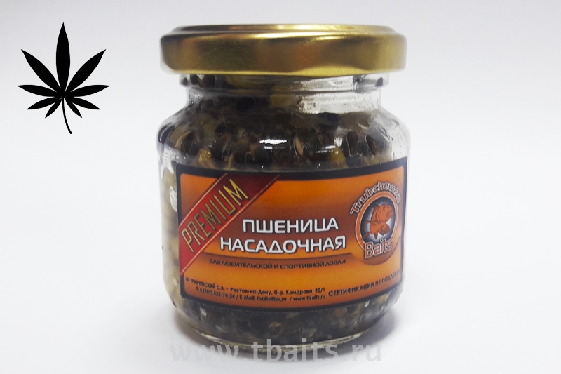 ����������� ���������������� �������+�������